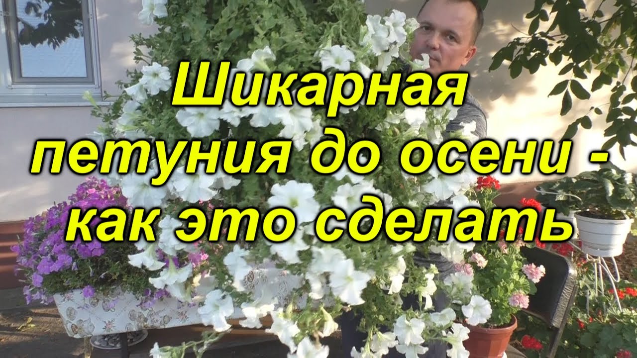 Нажмите, чтобы запустить видео