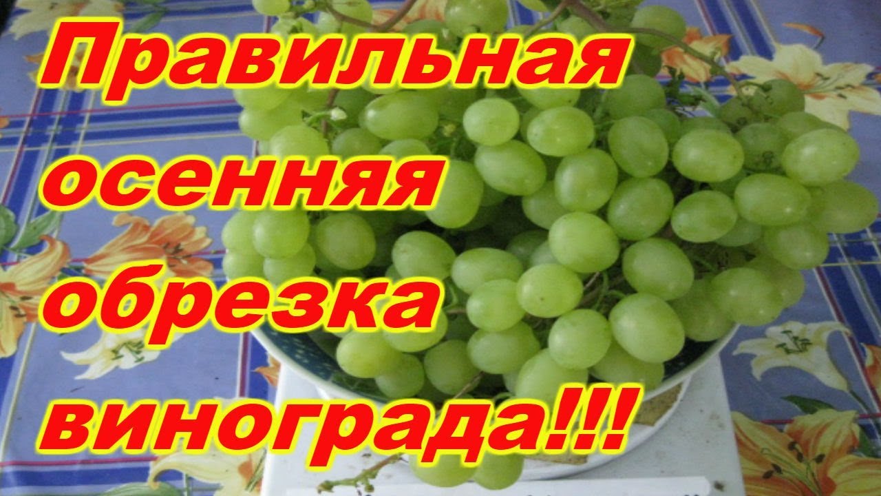 Нажмите, чтобы запустить видео