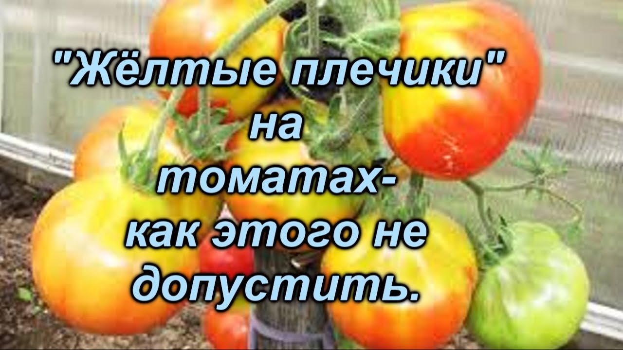 Нажмите, чтобы запустить видео