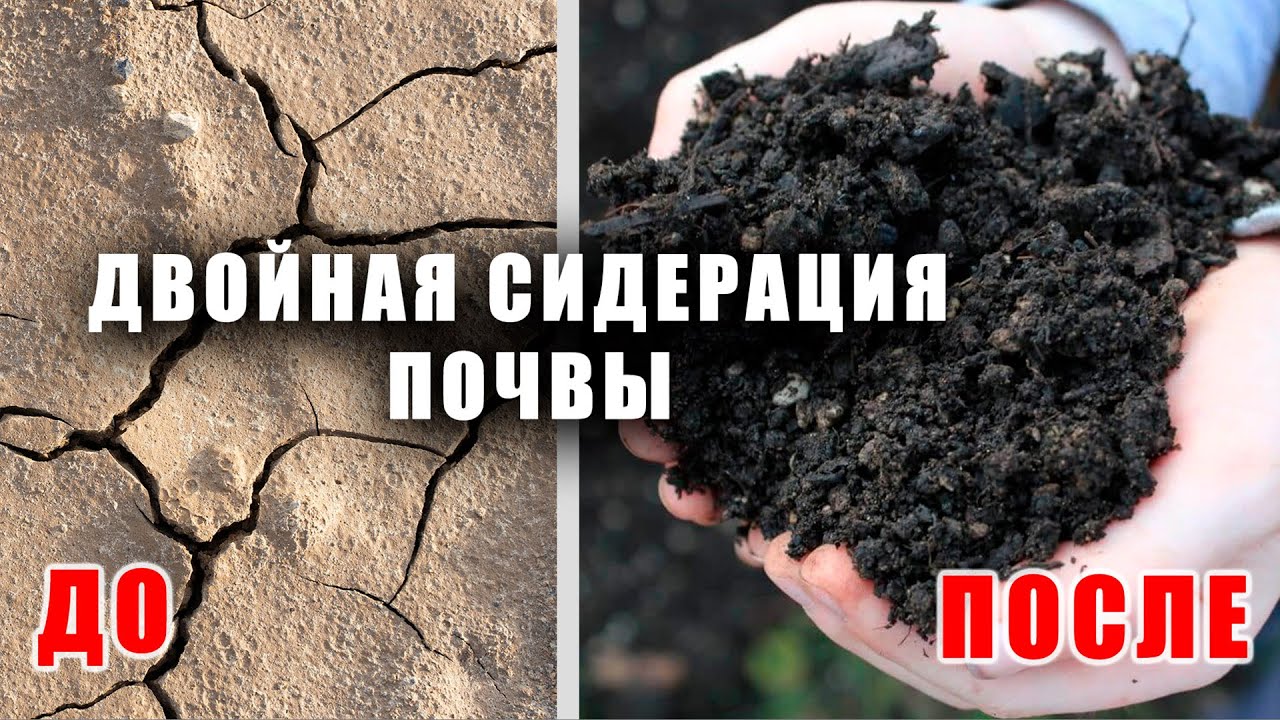 Нажмите, чтобы запустить видео