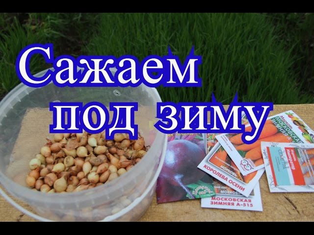 Нажмите, чтобы запустить видео