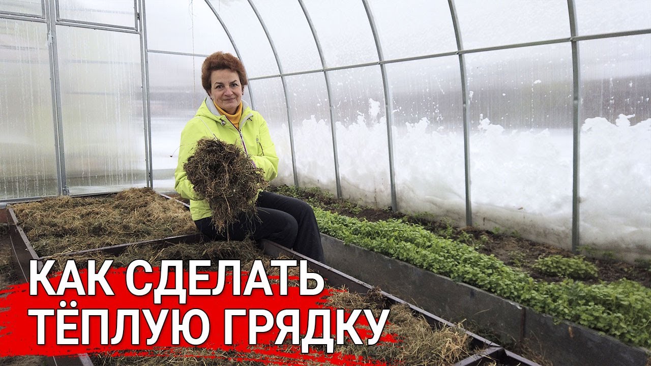 Нажмите, чтобы запустить видео