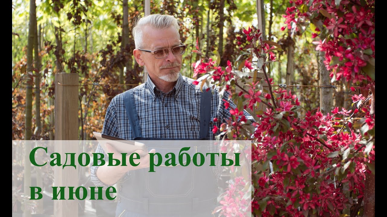 Нажмите, чтобы запустить видео