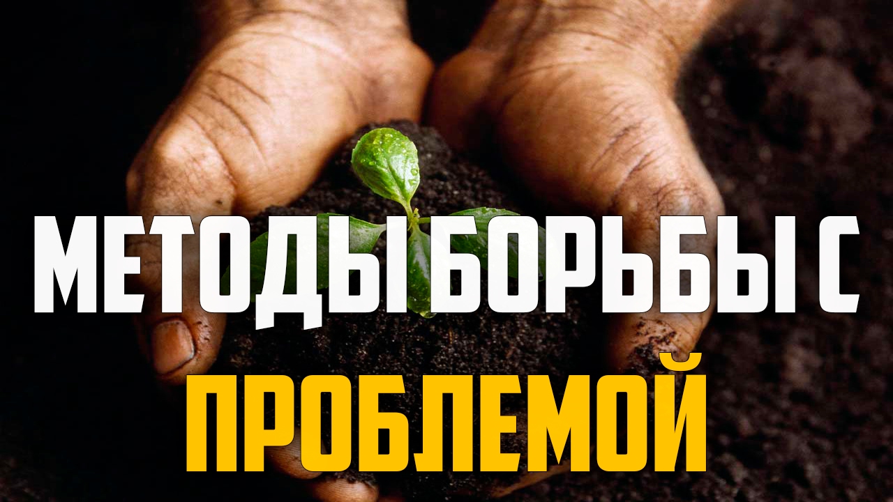 Нажмите, чтобы запустить видео