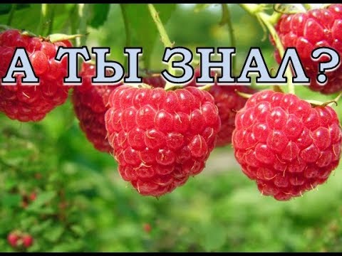 Нажмите, чтобы запустить видео