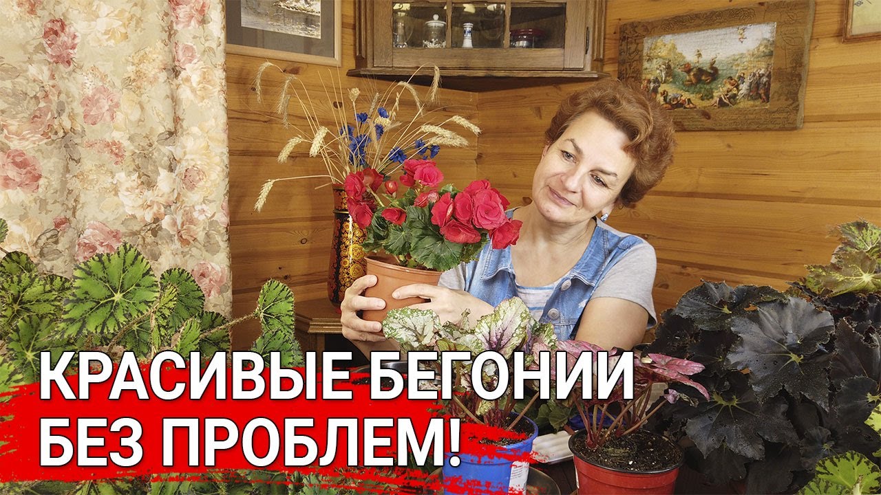 Нажмите, чтобы запустить видео