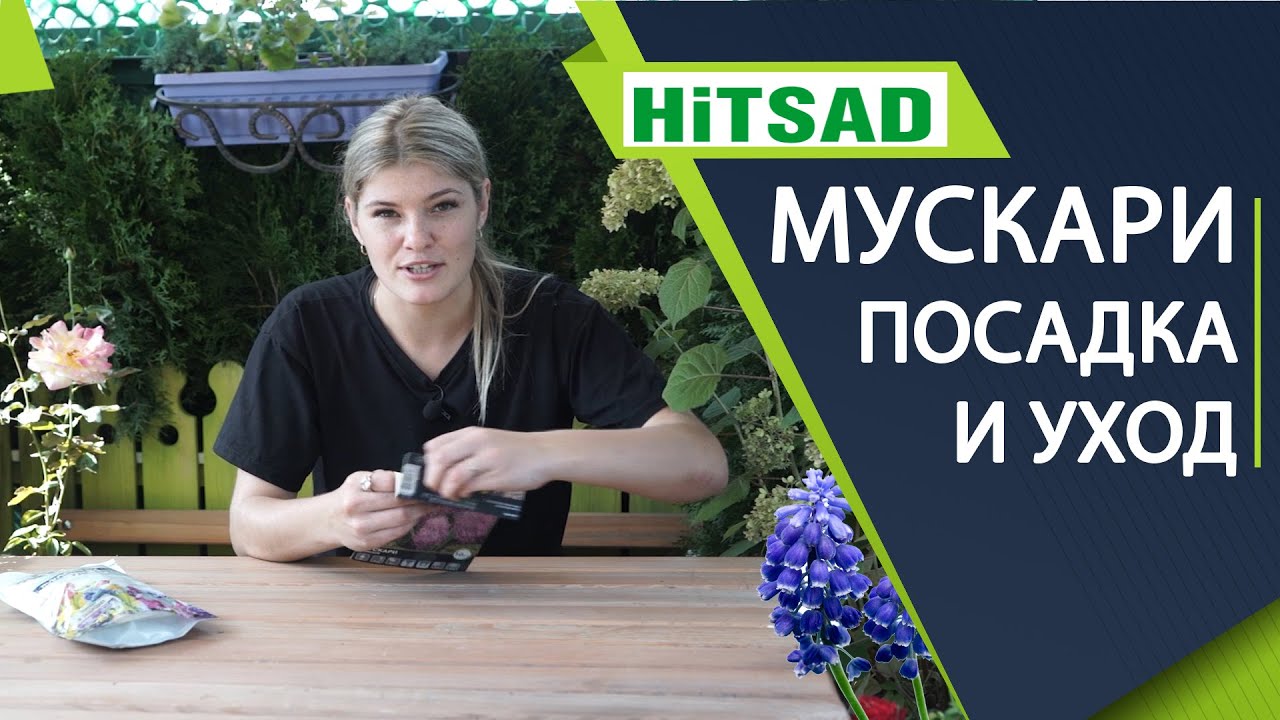 Нажмите, чтобы запустить видео