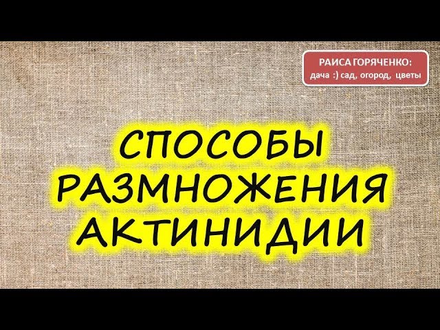 Нажмите, чтобы запустить видео