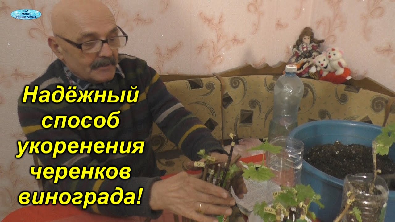 Нажмите, чтобы запустить видео
