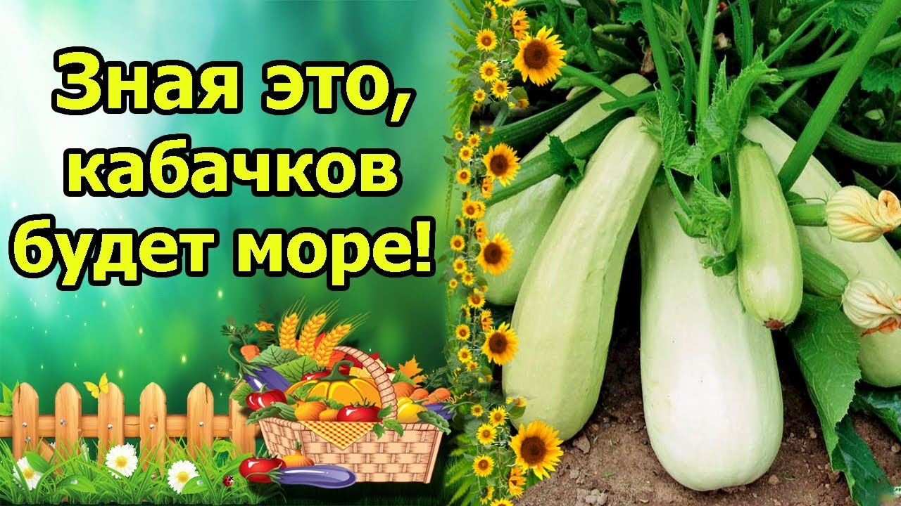 Нажмите, чтобы запустить видео