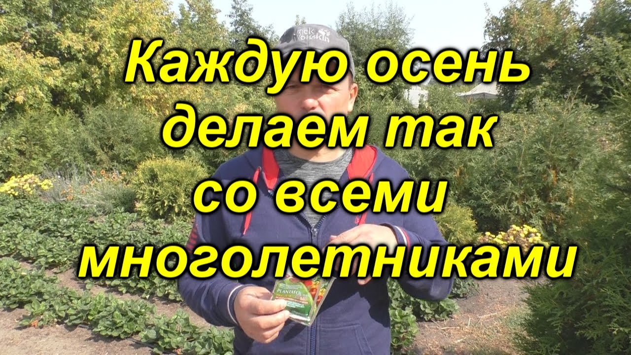 Нажмите, чтобы запустить видео