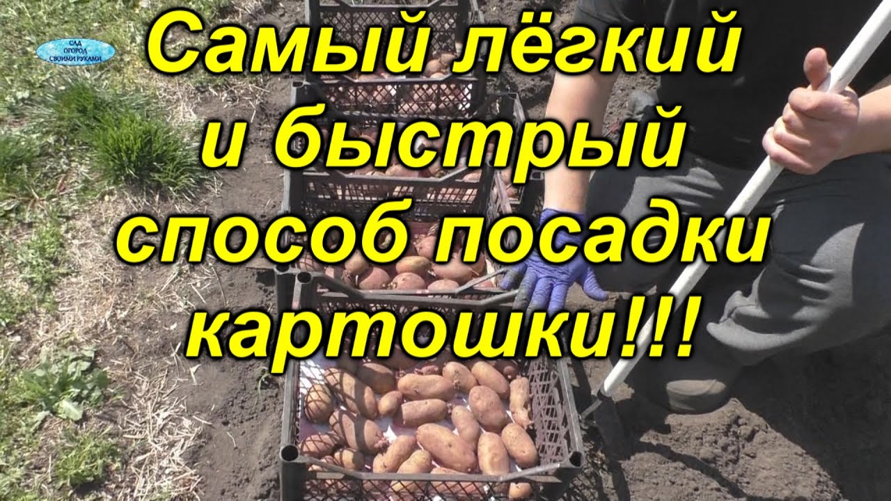Нажмите, чтобы запустить видео