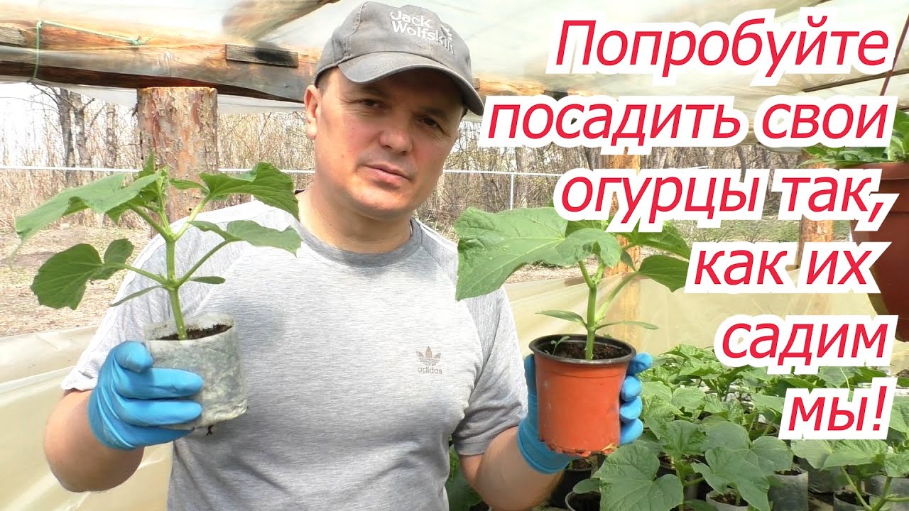 Нажмите, чтобы запустить видео