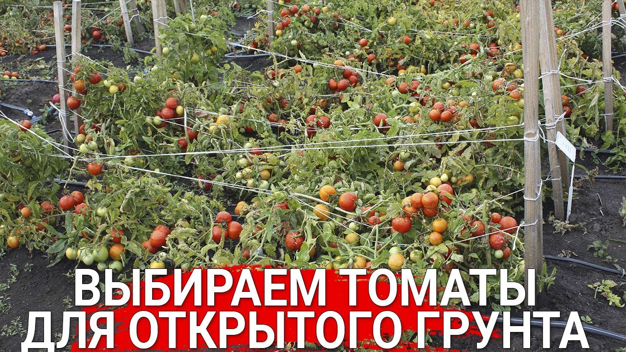 Нажмите, чтобы запустить видео