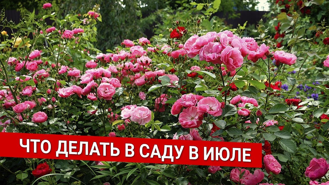Нажмите, чтобы запустить видео
