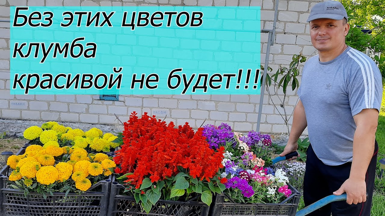 Нажмите, чтобы запустить видео