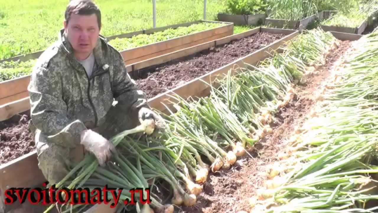 Нажмите, чтобы запустить видео