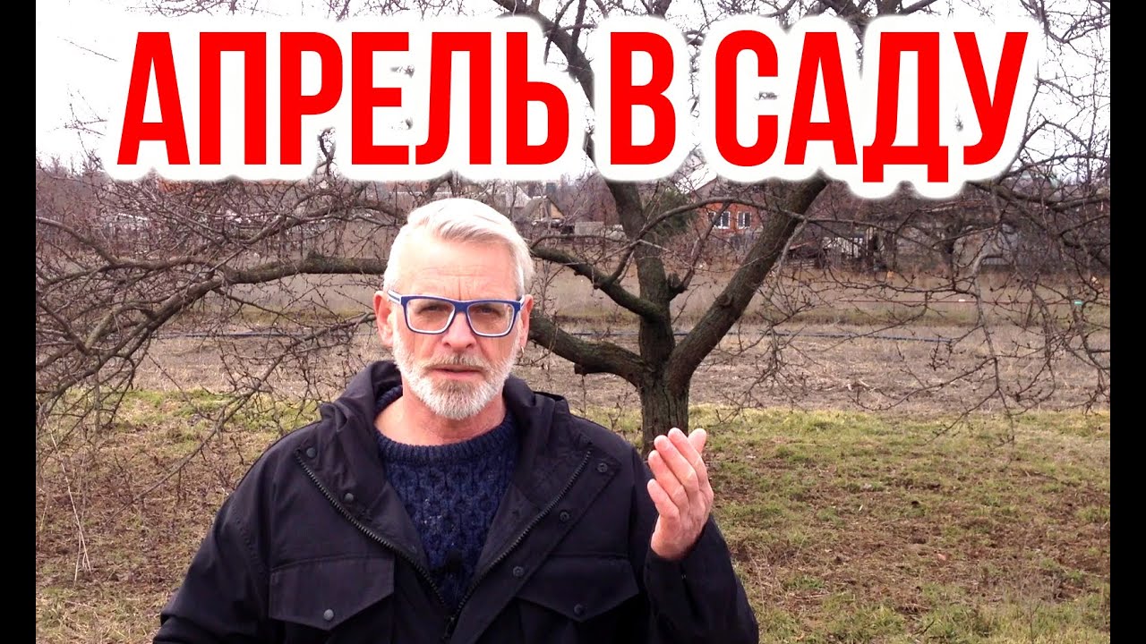 Нажмите, чтобы запустить видео