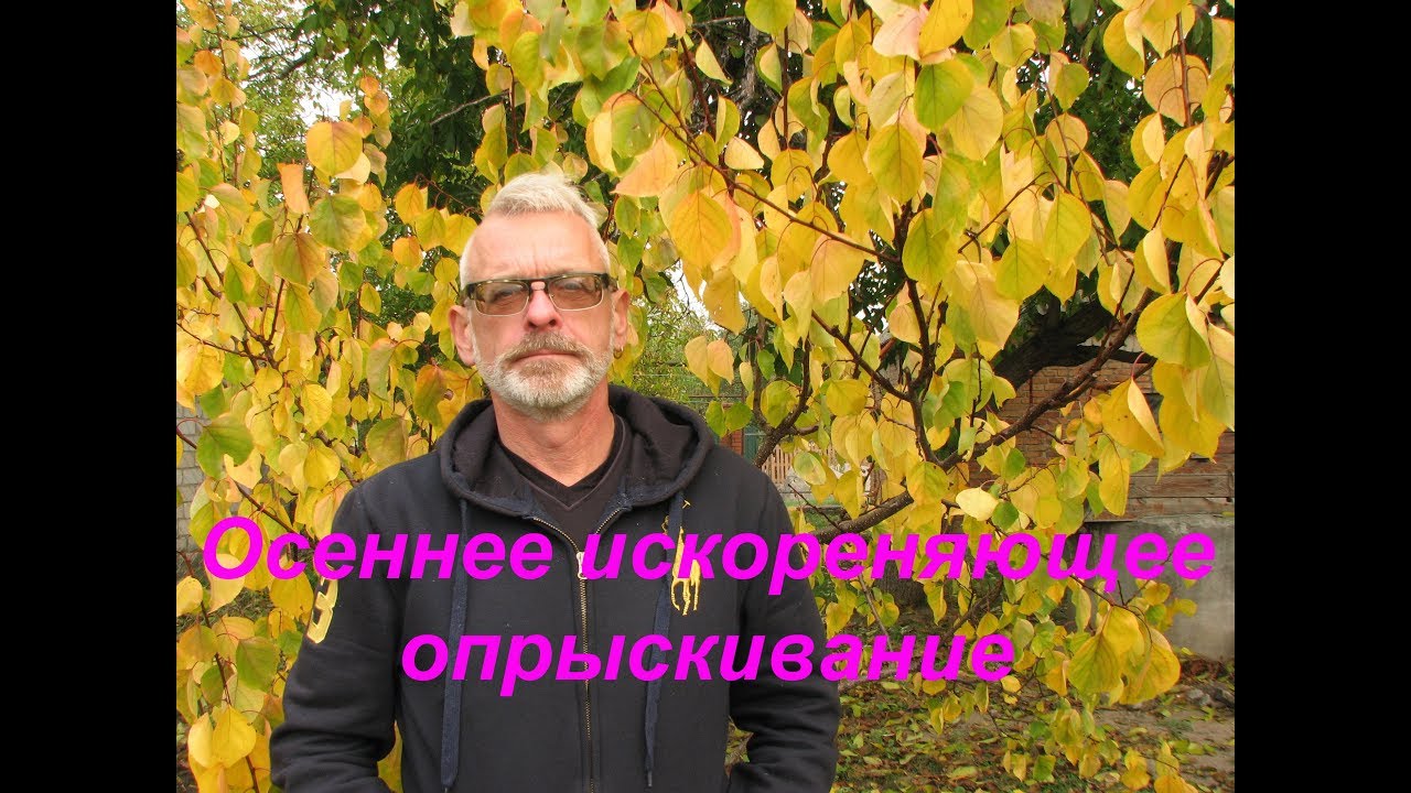 Нажмите, чтобы запустить видео