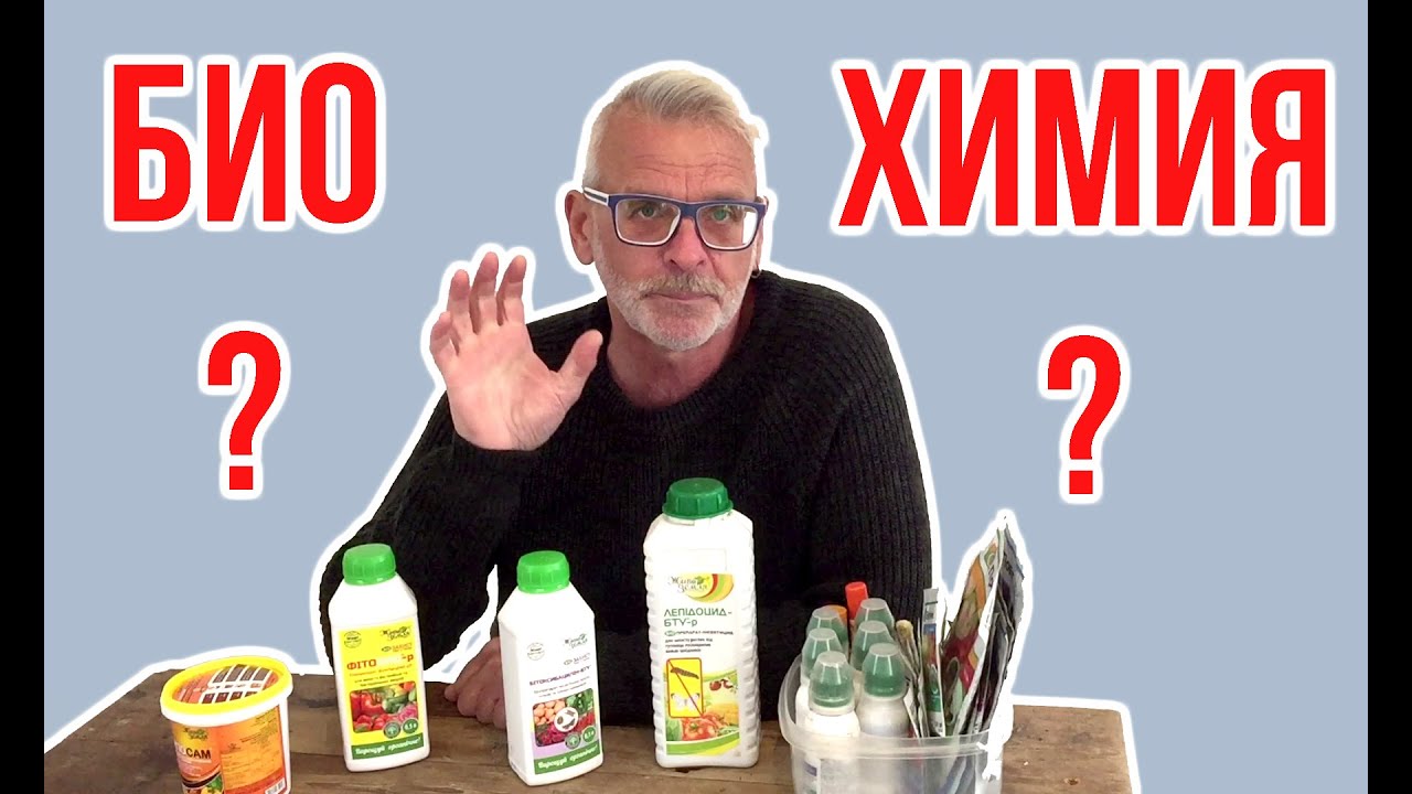 Нажмите, чтобы запустить видео