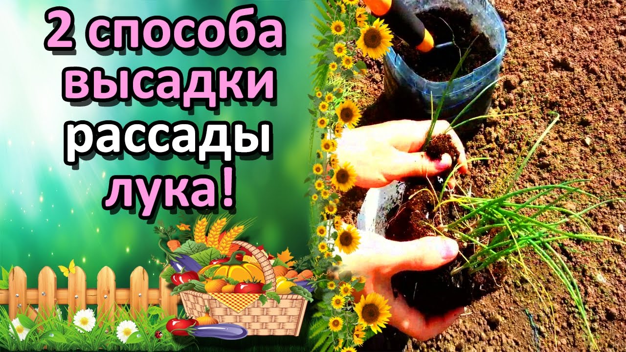 Нажмите, чтобы запустить видео