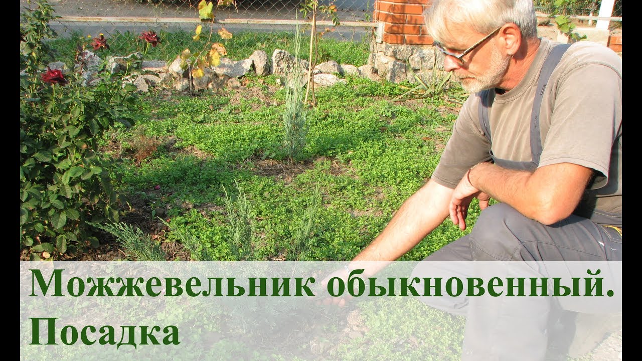 Нажмите, чтобы запустить видео