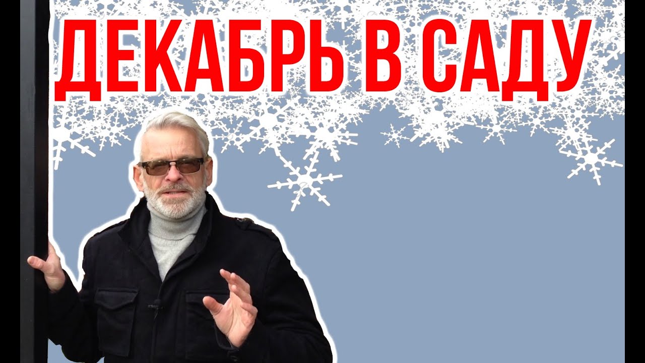 Нажмите, чтобы запустить видео