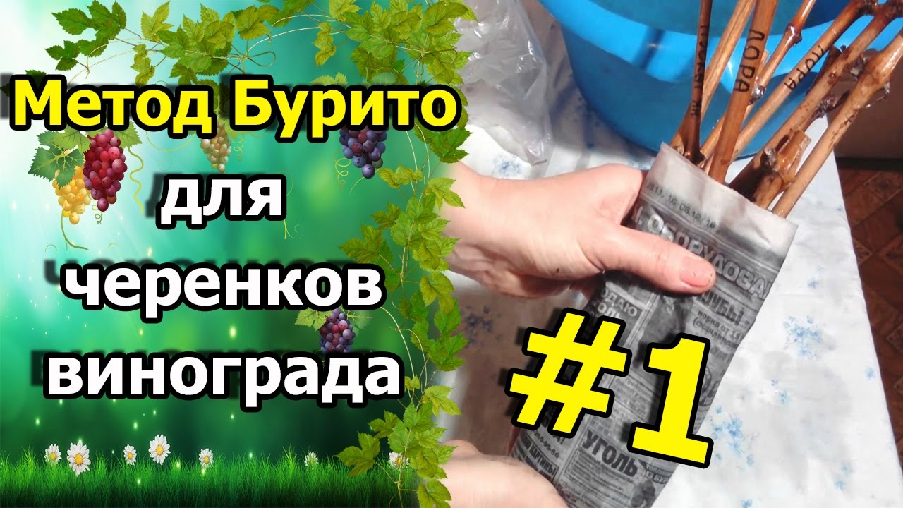 Нажмите, чтобы запустить видео