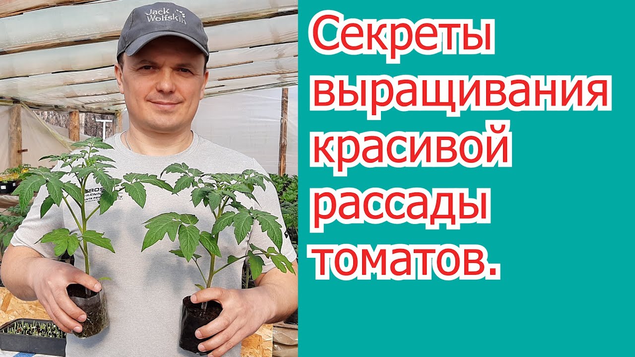 Нажмите, чтобы запустить видео