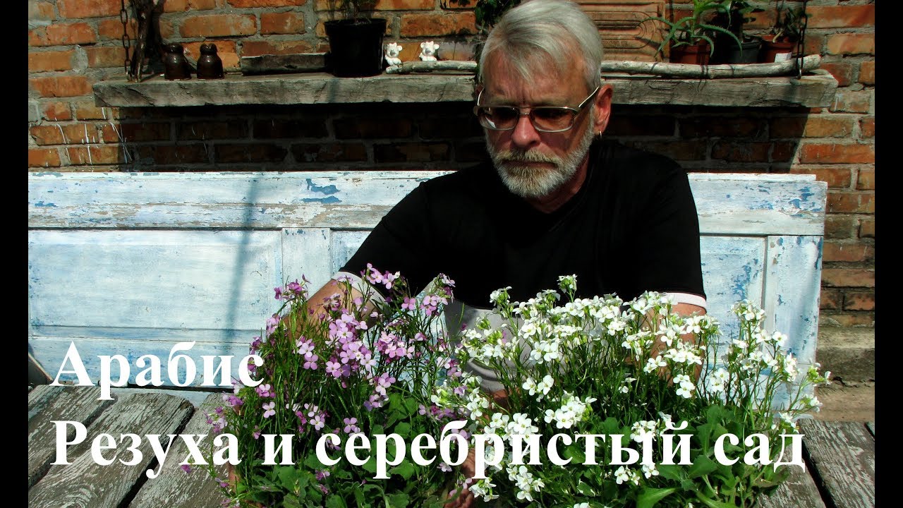 Нажмите, чтобы запустить видео
