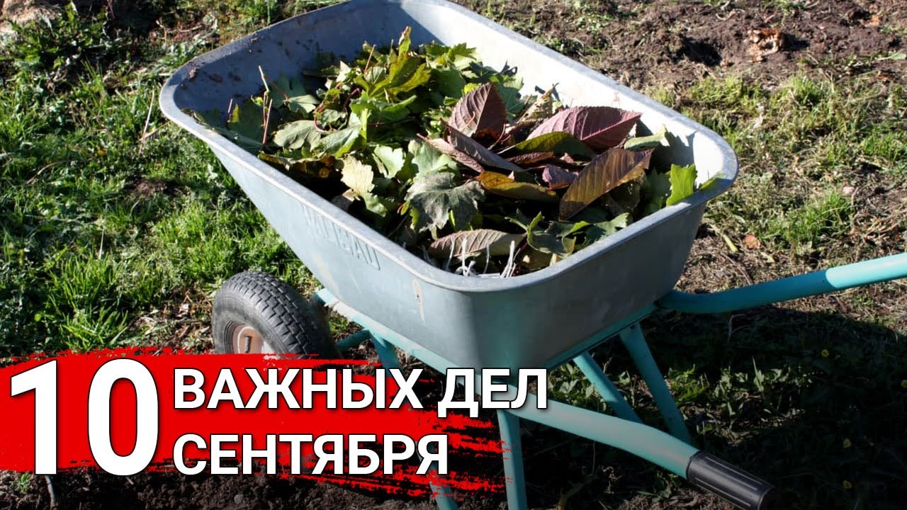 Нажмите, чтобы запустить видео