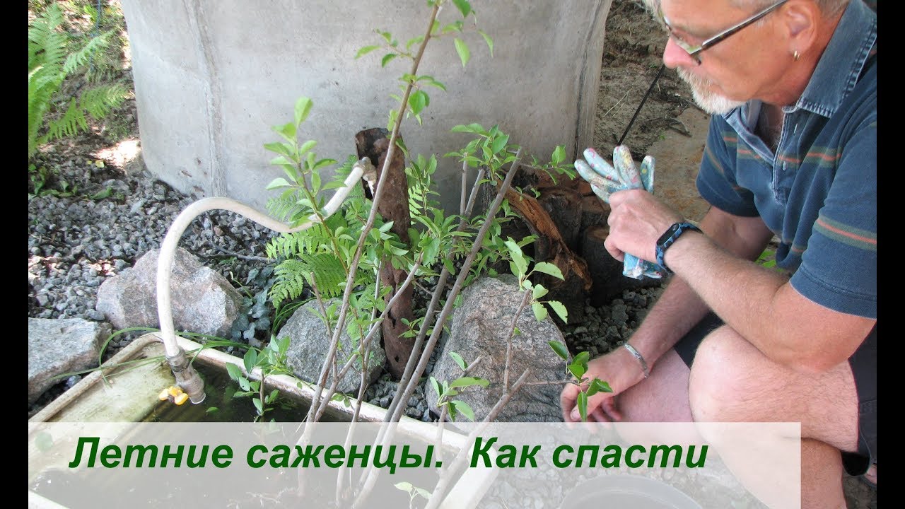 Нажмите, чтобы запустить видео