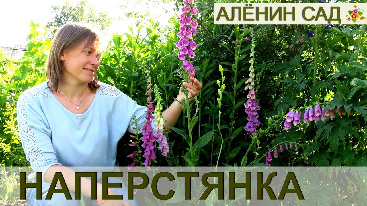 Нажмите, чтобы запустить видео