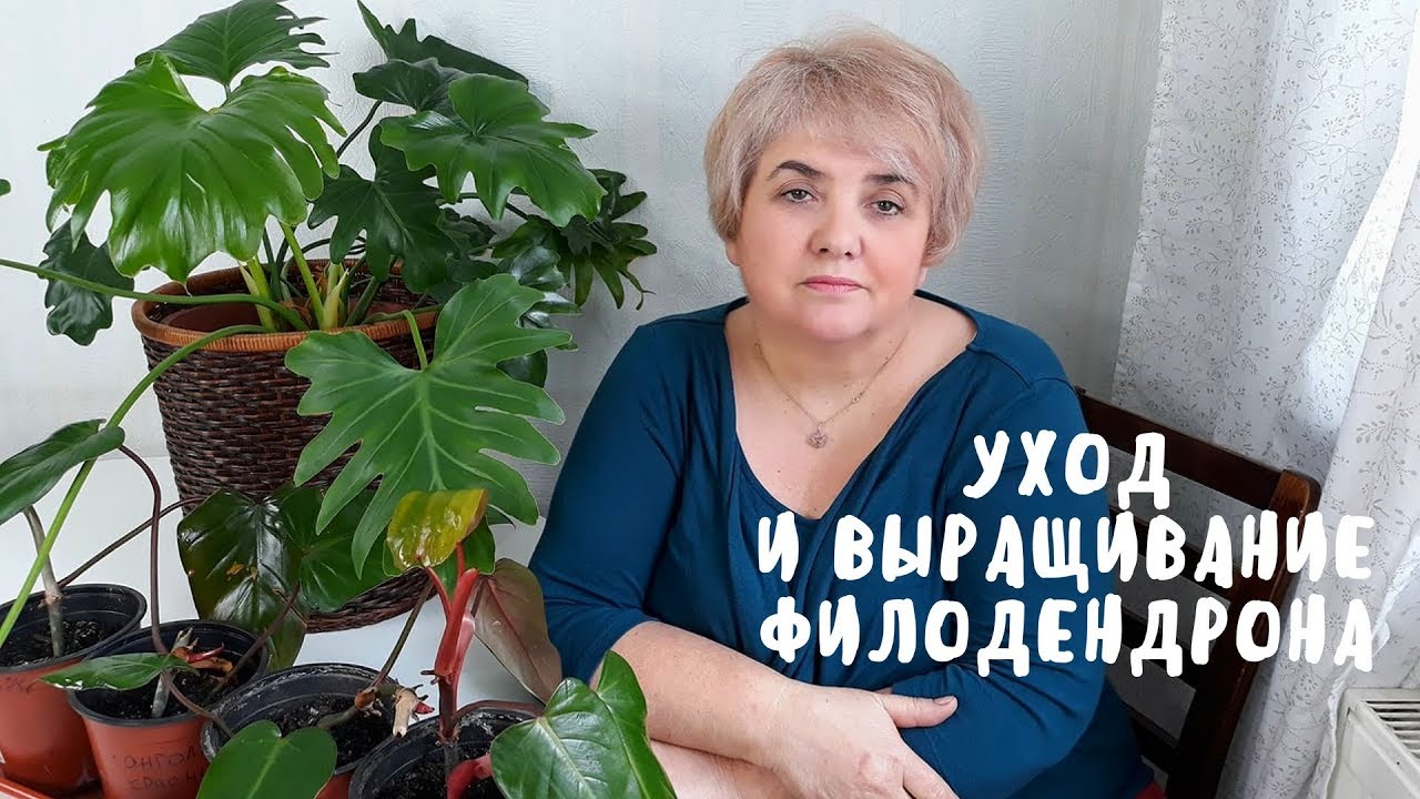 Нажмите, чтобы запустить видео
