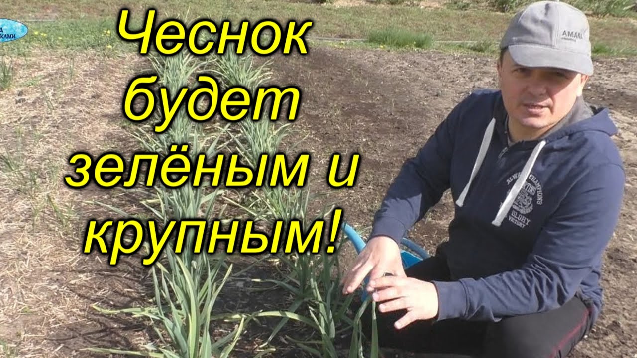 Нажмите, чтобы запустить видео