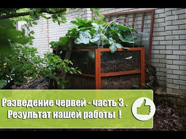 Нажмите, чтобы запустить видео