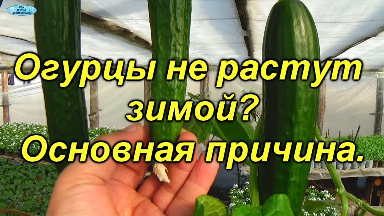 Нажмите, чтобы запустить видео