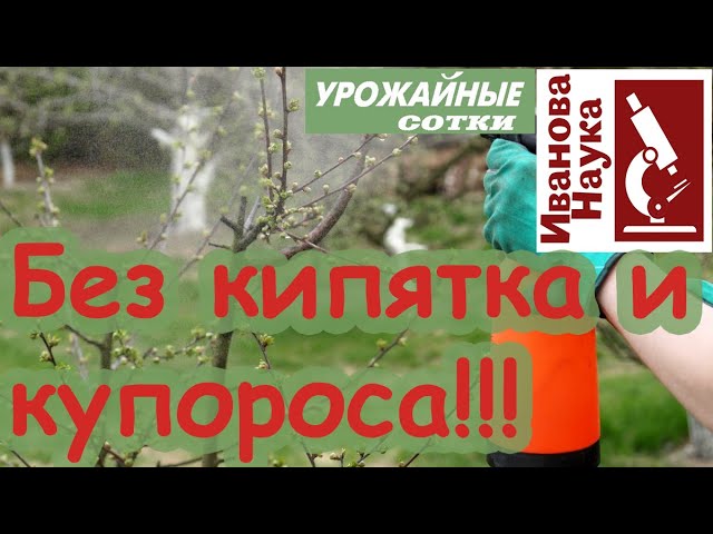 Нажмите, чтобы запустить видео
