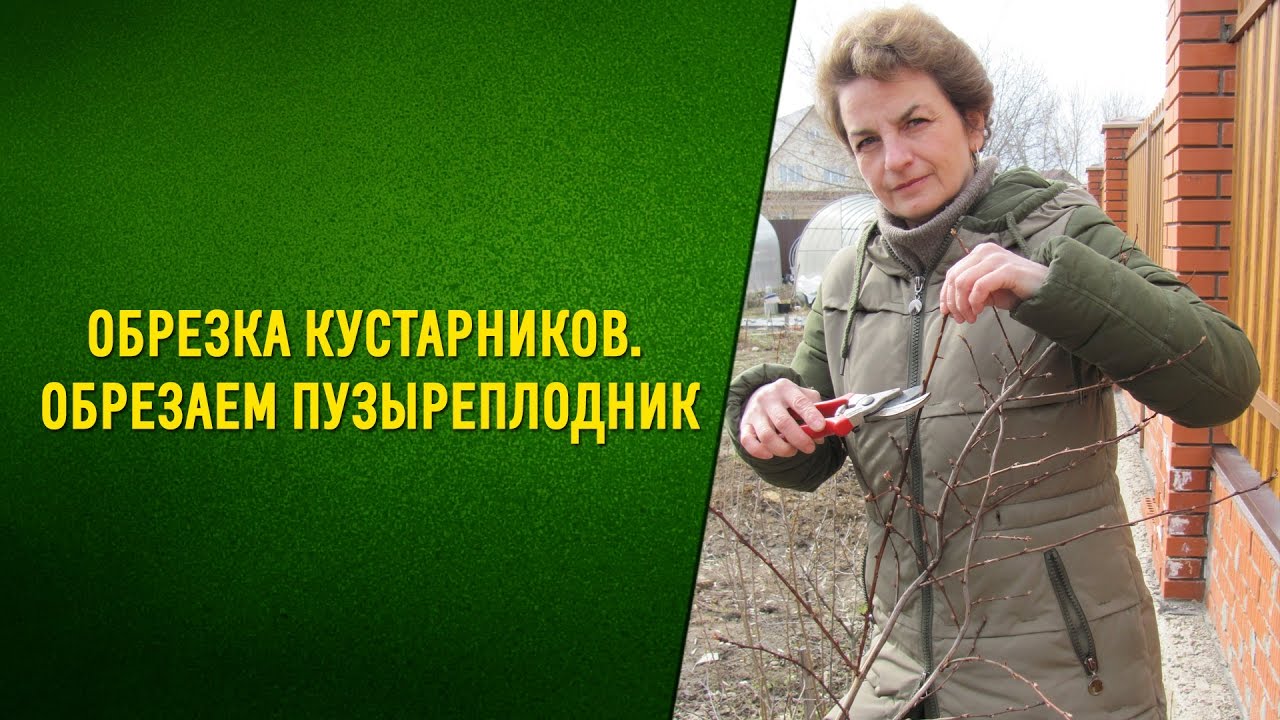 Нажмите, чтобы запустить видео