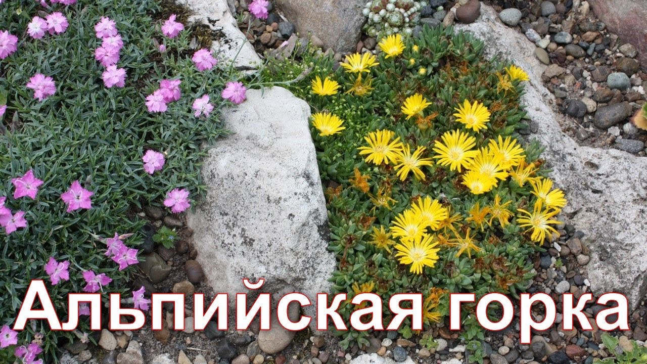Нажмите, чтобы запустить видео
