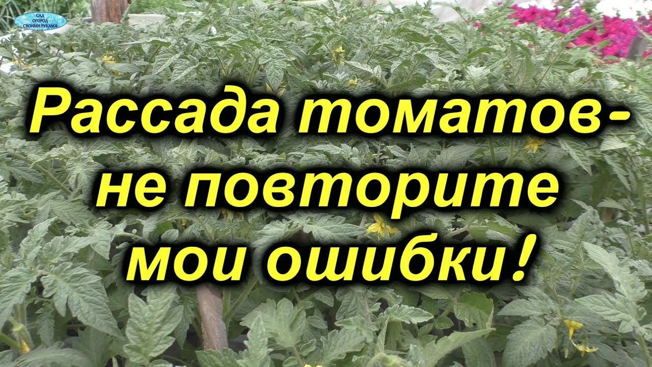 Нажмите, чтобы запустить видео