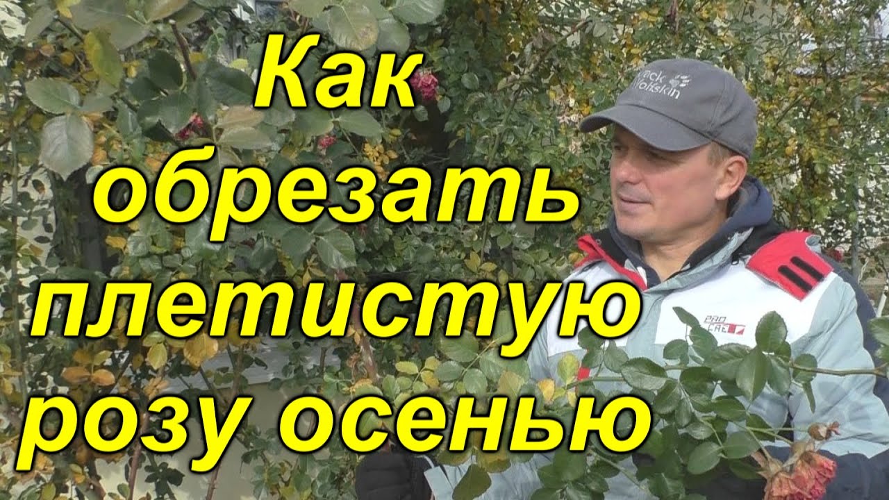 Нажмите, чтобы запустить видео