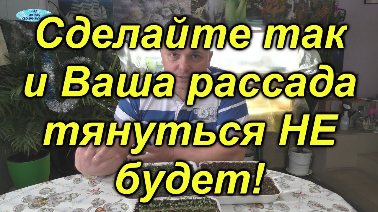 Нажмите, чтобы запустить видео