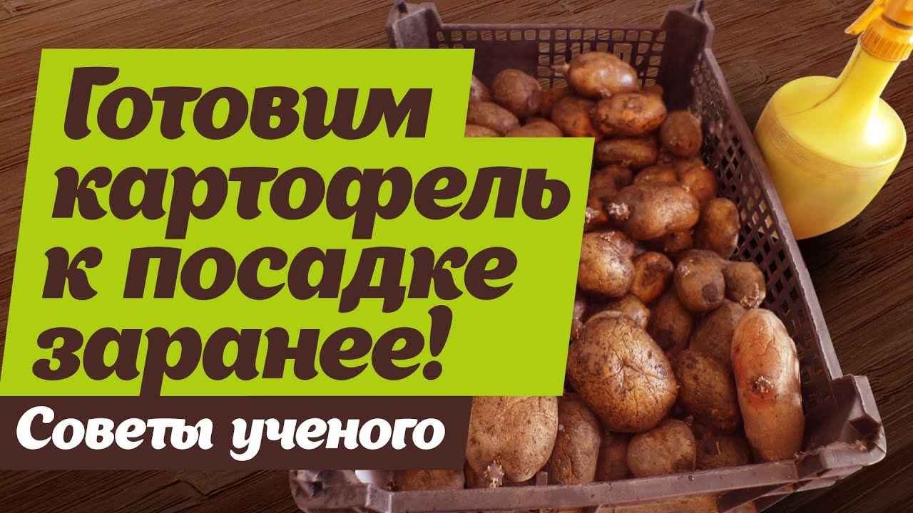 Нажмите, чтобы запустить видео