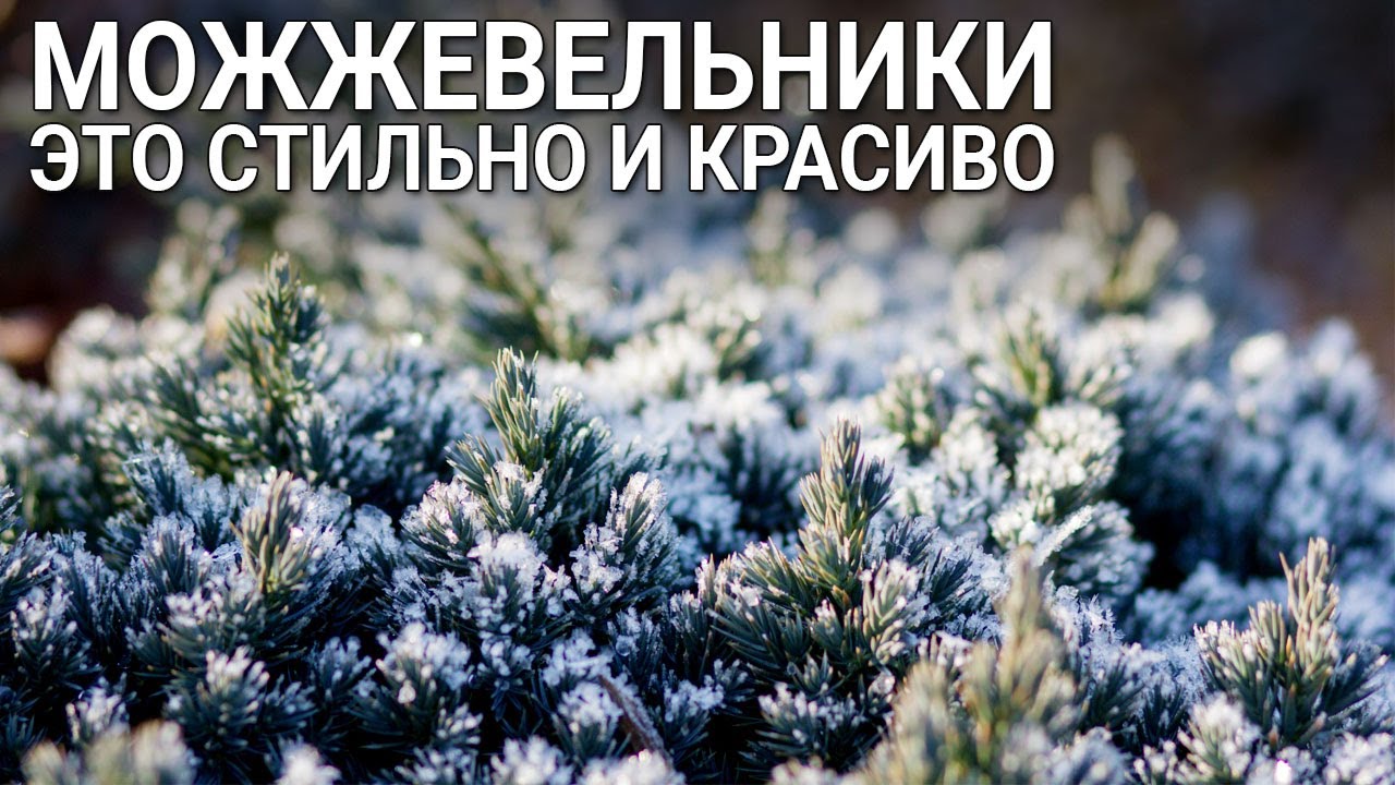 Нажмите, чтобы запустить видео