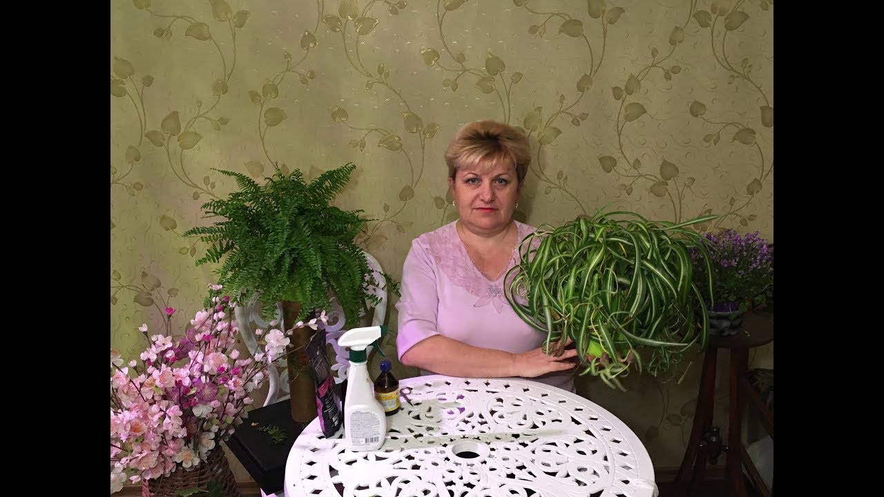 Нажмите, чтобы запустить видео