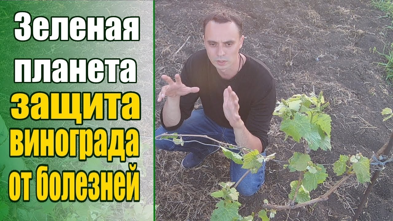 Нажмите, чтобы запустить видео