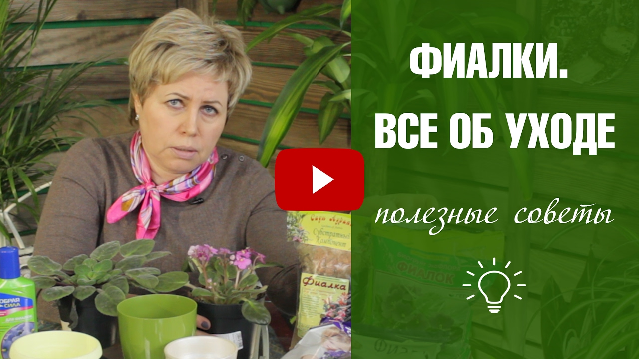 Нажмите, чтобы запустить видео
