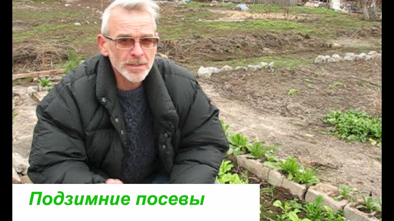 Нажмите, чтобы запустить видео