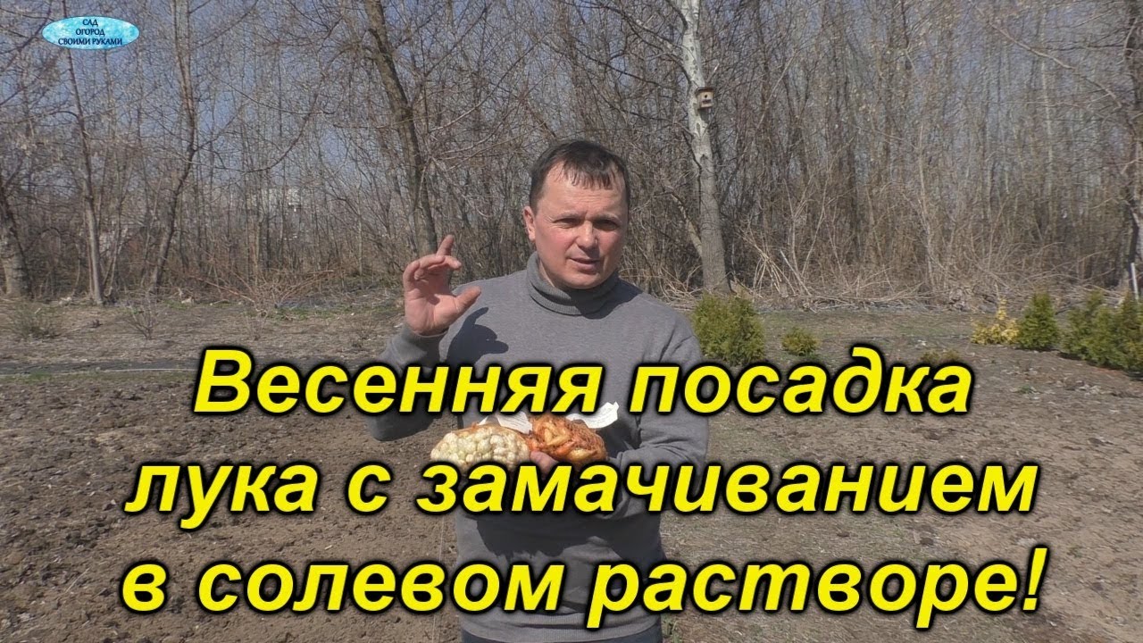 Нажмите, чтобы запустить видео